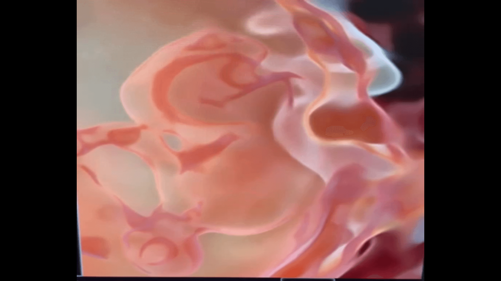 Video 3A
